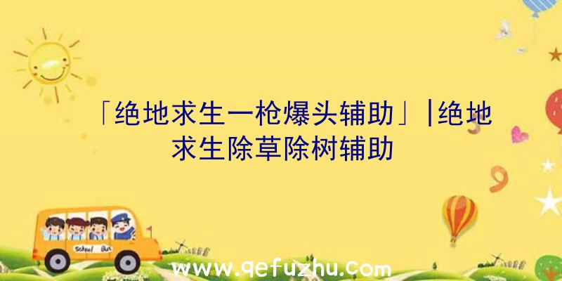 「绝地求生一枪爆头辅助」|绝地求生除草除树辅助